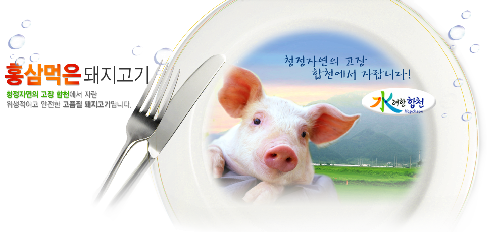배너 1