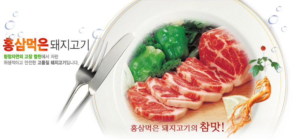 배너 3